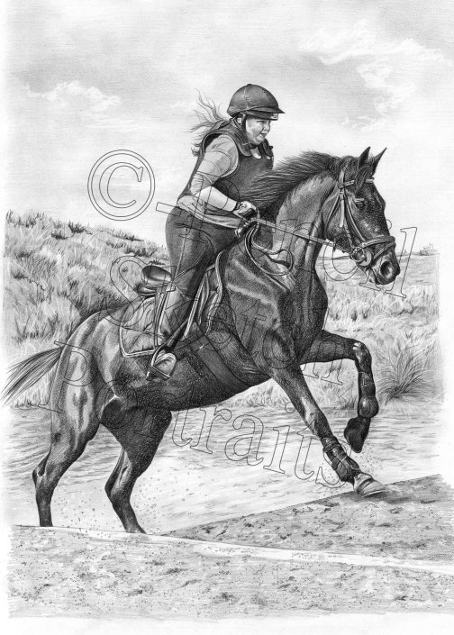 Hand-drawn pencil portrait of a horse jumping out of water with a rider, created from a photograph.